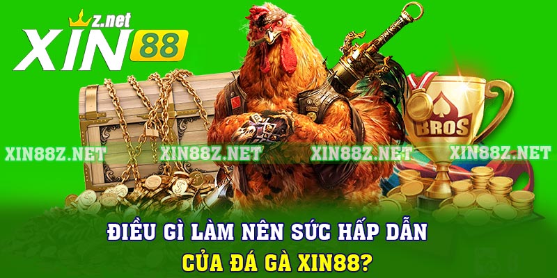 Điều gì làm nên sức hấp dẫn của đá gà XIN88?